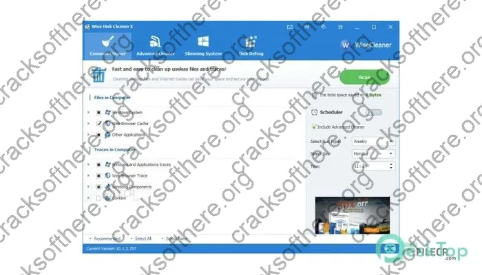 Wise Disk Cleaner Serial key 11.0.7.821 Free Download